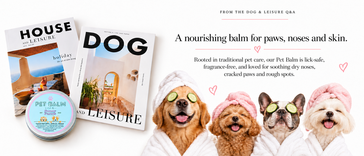Sunny Farms Organics Pet Balm featured in the Dog and Leisure Q&A — a nourishing balm for paws, noses and skin